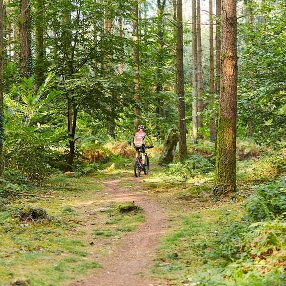 Rando Forêt de Camors