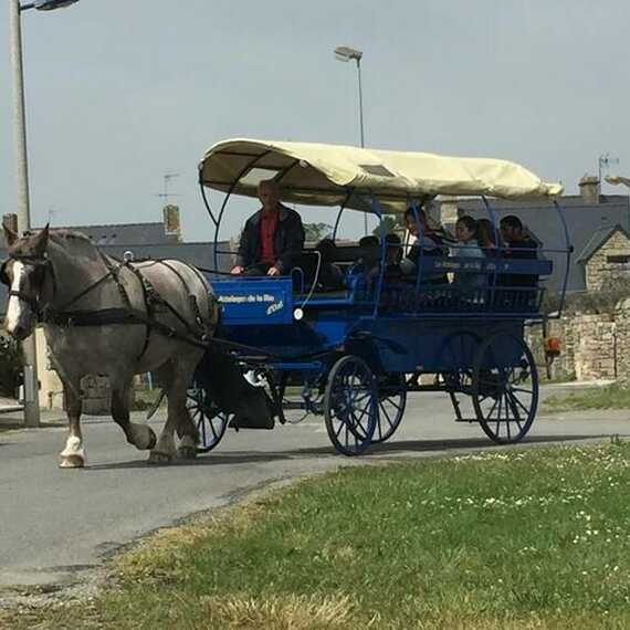 Les attelages de la Ria