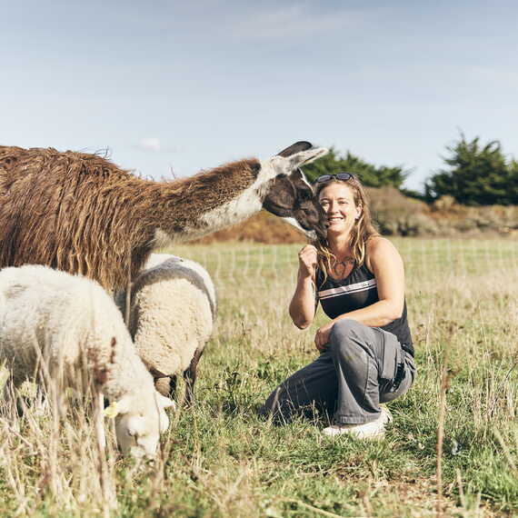 Alix lama