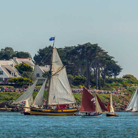 Semaine du Golfe