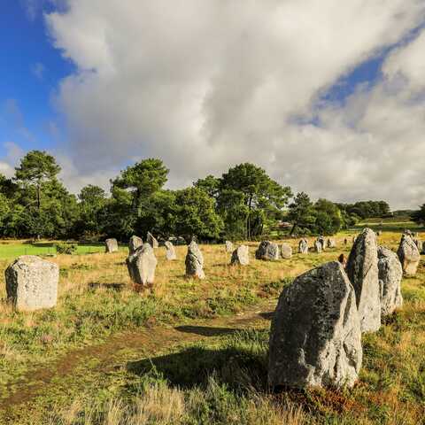 Découverte des alignements de Carnac et des grands sites mégalithiques