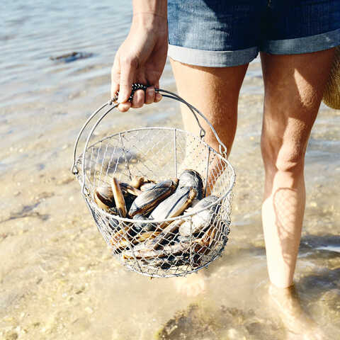 Pêche à pied