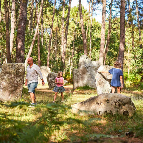 Balade sur les sentiers d'Erdeven pour découvrir les dolmens, menhirs
