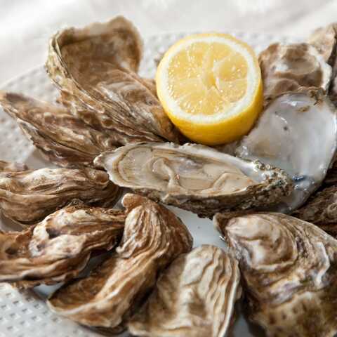 les huîtres la spécialité bretonne de la baie de Quiberon