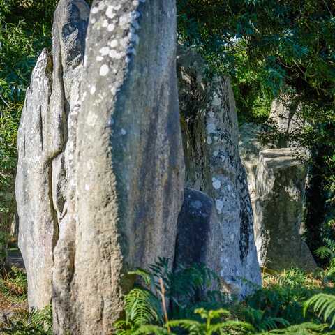 Les géants de Kerzerho à Erdeven à la découverte des menhirs