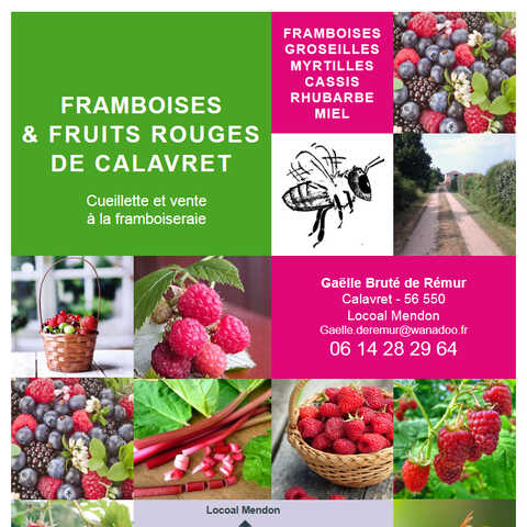 Culture raisonnée en plein champ de Framboises et fruits rouges de Calavret à Locoal Mendon