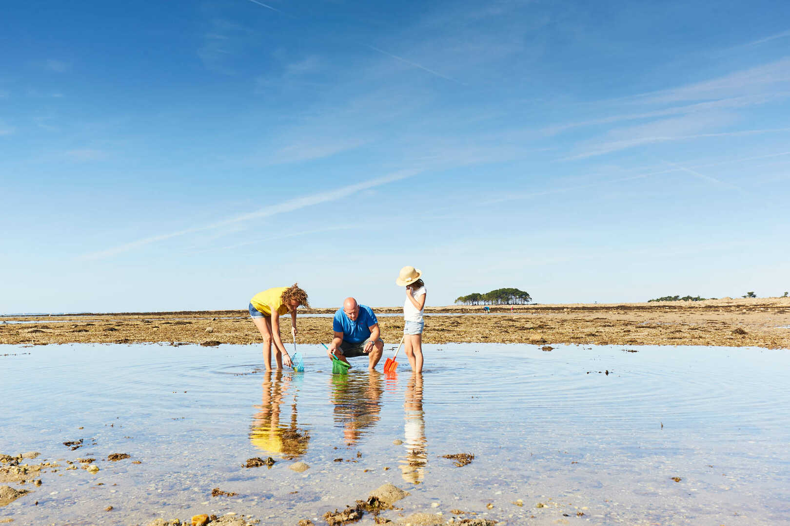 Expérimentez La Pêche à Pied Dans La Baie De Quiberon