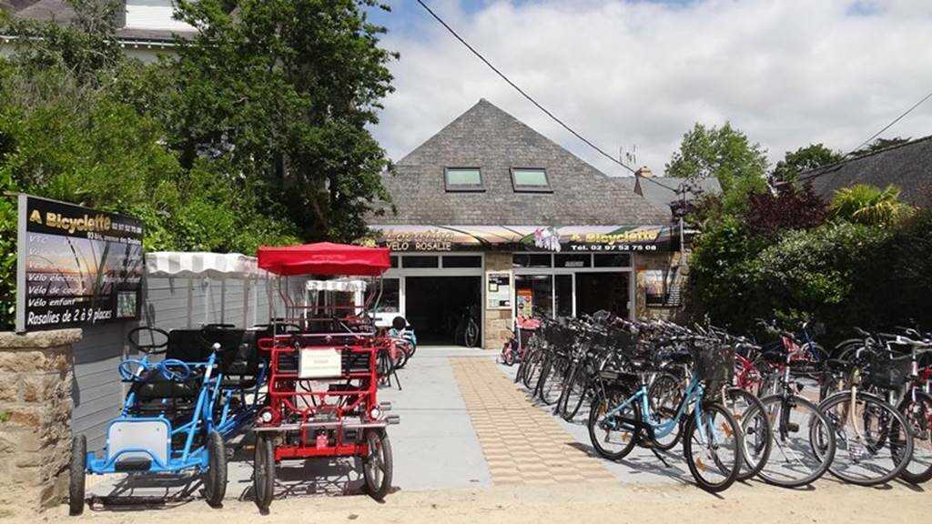 bicyclette consanguinité bretagne