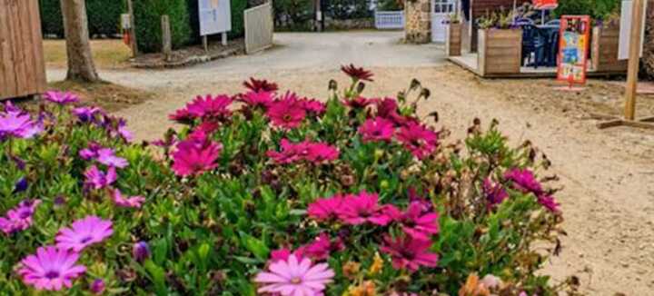 Camping de la Tour Camping de la Tour