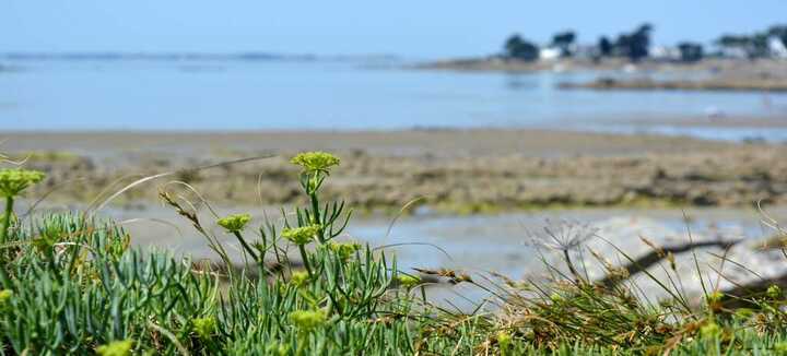 Incroyables Chemins Incroyables Chemins