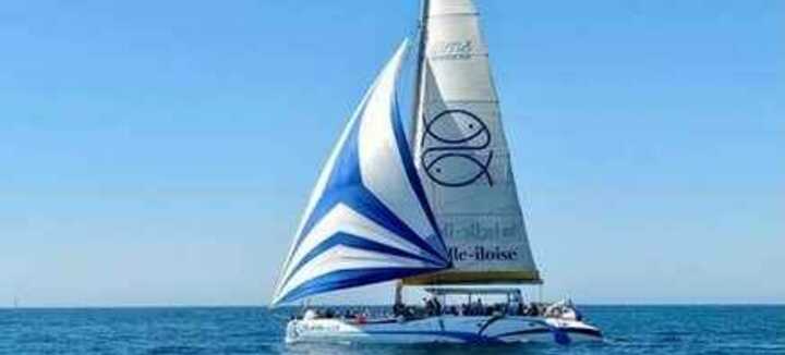 Iliens, la navette qui met les Voiles - Traversées Maritimes Iliens, la navette qui met les Voiles - Traversées Maritimes