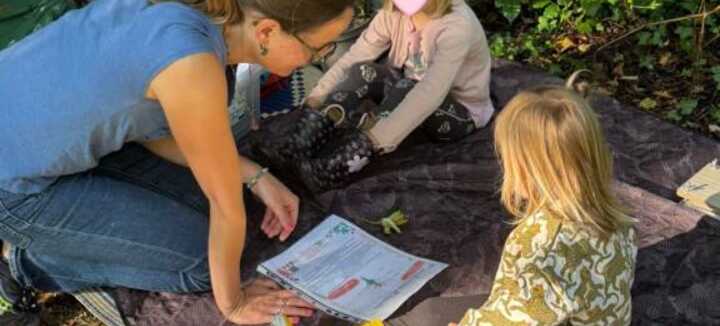 Les Explorations des Herminons