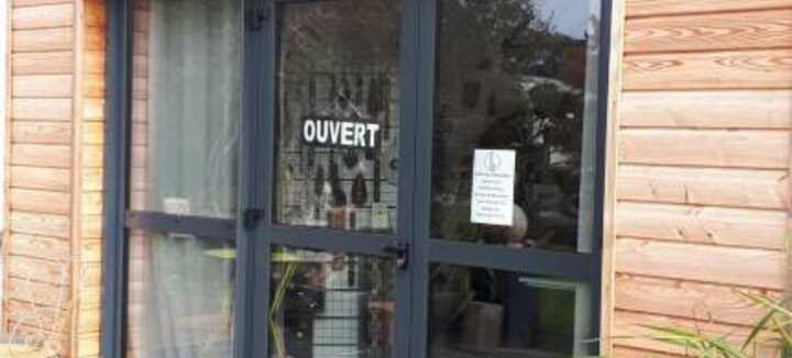 Loraine Grassin Mosaïste