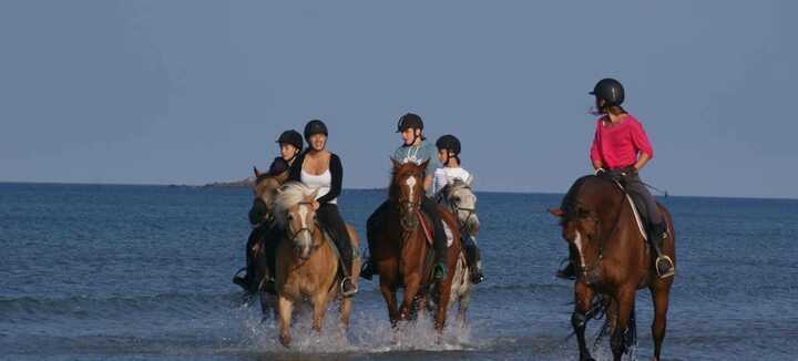 Erdeven Equitation - Centre équestre Poney Club Erdeven Equitation - Centre équestre Poney Club