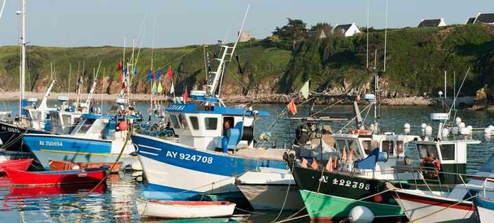 Port de plaisance Saint Gildas-Ile de Houat Port de plaisance Saint Gildas-Ile de Houat
