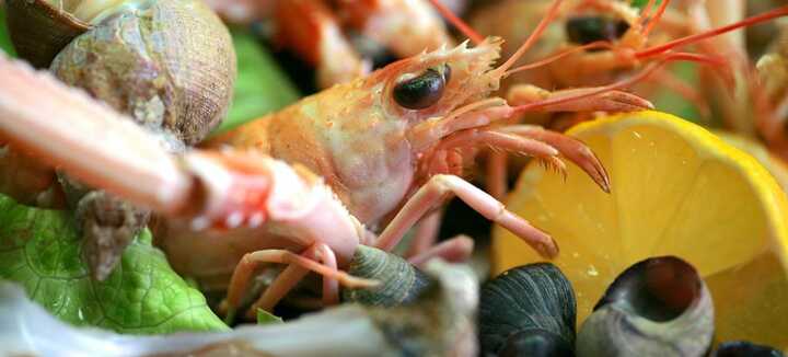 Poissonnerie les viviers du pradic Poissonnerie les viviers du pradic