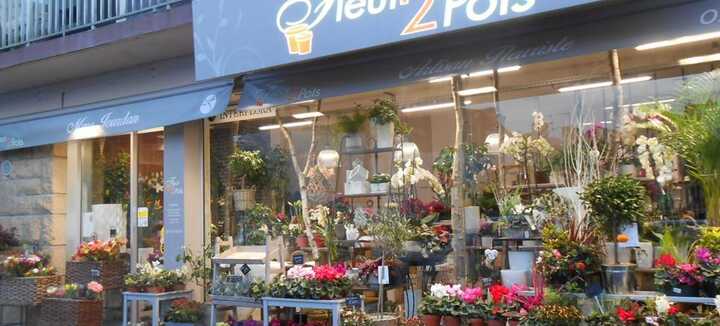 Fleuriste Fleur2Pots Fleuriste Fleur2Pots