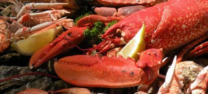 Aquaculture Jaouen Aquaculture Jaouen
