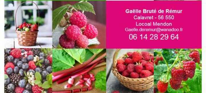 Les Framboises et Fruits Rouges de Calavret Les Framboises et Fruits Rouges de Calavret