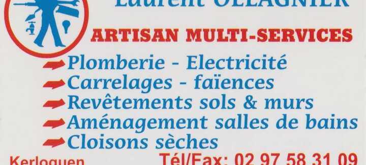 OLLAGNIER MULTISERVICES OLLAGNIER MULTISERVICES