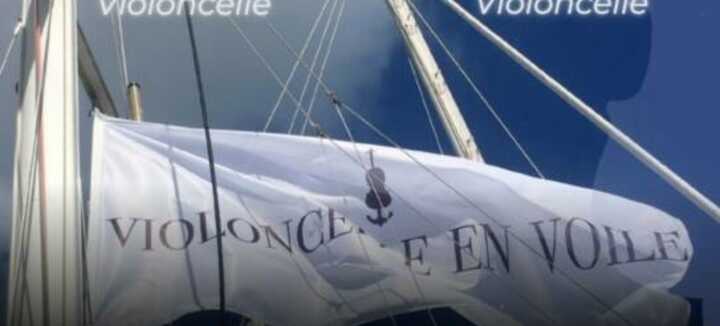 Violoncelle en Voile Violoncelle en Voile