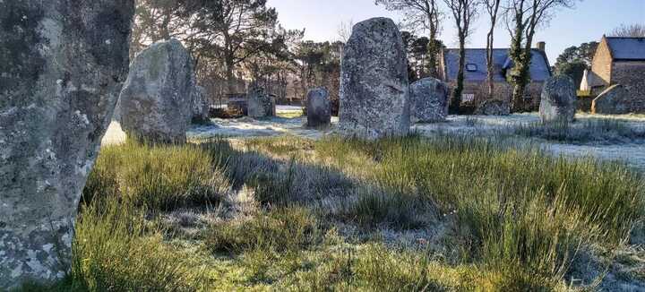 Visites guidées des alignements de Carnac