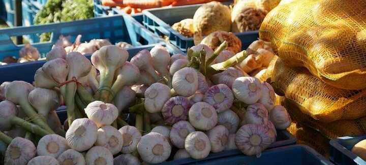 Marché traditionnel de Saint-Pierre Quiberon