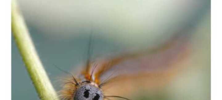 La nature à votre porte