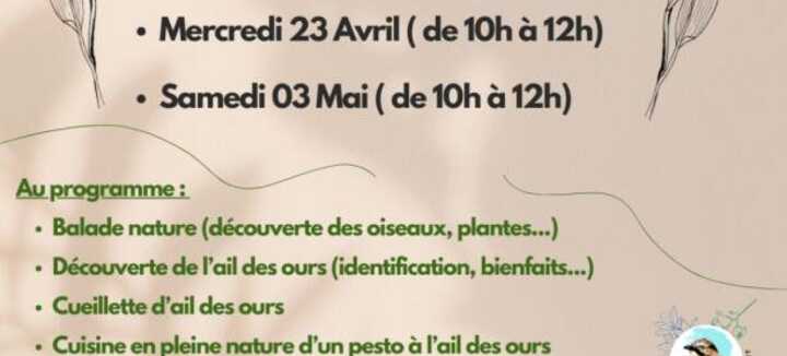 Cuisine sauvage Cuisine sauvage
