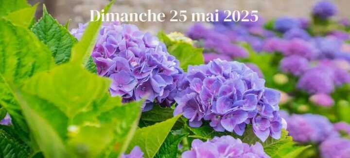Atelier floral et gourmand pour la fête des mamans Atelier floral et gourmand pour la fête des mamans