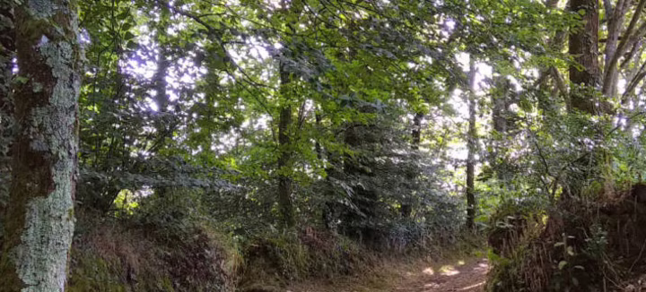 Balade contée au bord du Loch