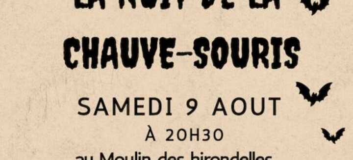 La nuit de la chauve-souris