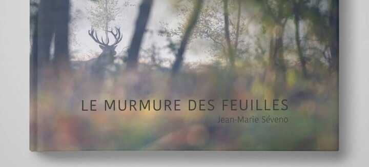 Le murmure des feuilles Le murmure des feuilles