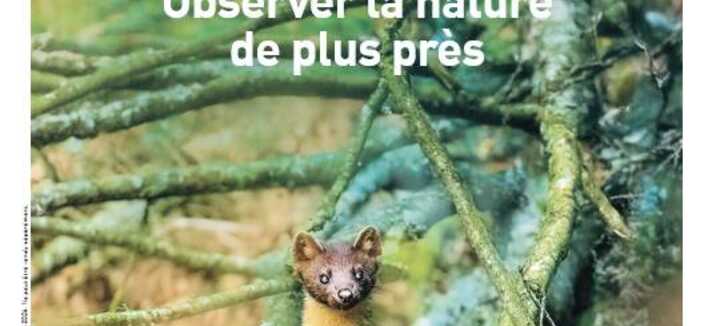 Les rives du Loc'h - Nature en musique