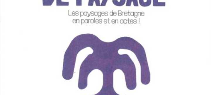 Balade nature & santé : bain de forêt