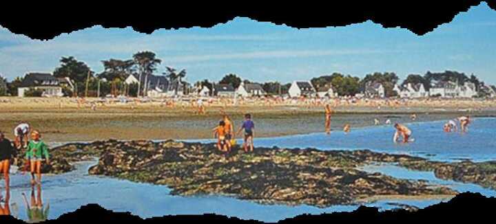 Découverte estran et laisse de mer Découverte estran et laisse de mer
