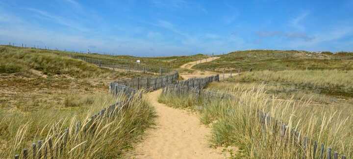 Balade nature :Découverte des dunes d'Erdeven Balade nature :Découverte des dunes d'Erdeven