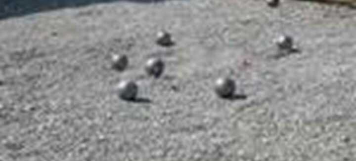 Concours de Boule Bretonne Concours de Boule Bretonne