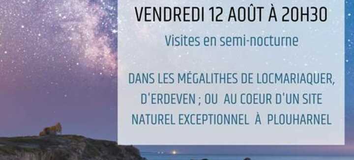La Nuit des étoiles filantes d'Erdeven La Nuit des étoiles filantes d'Erdeven