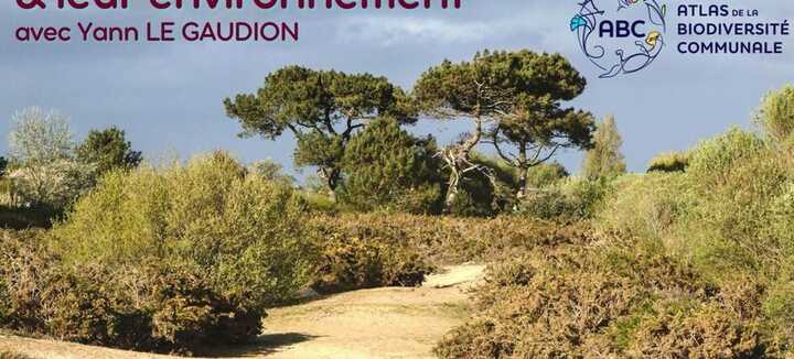 Sortie Plantes des Dunes et de leur Environnement Sortie Plantes des Dunes et de leur Environnement