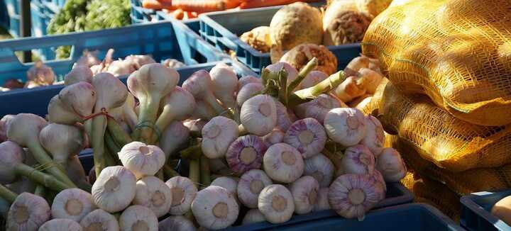 Marché hebdomadaire à Etel Marché hebdomadaire à Etel
