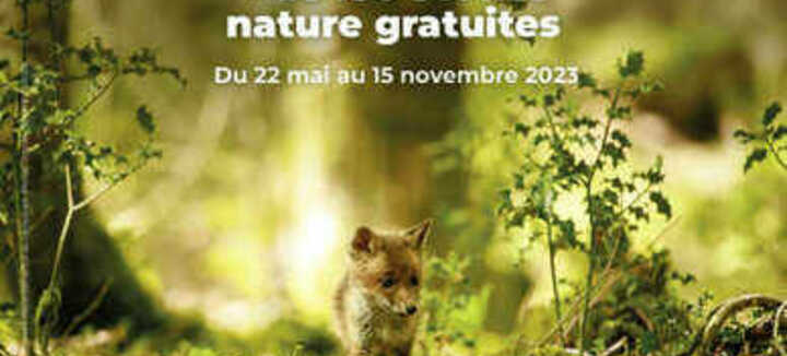 Visite nature "Les oiseaux hivernant de la barre d’Etel" Visite nature "Les oiseaux hivernant de la barre d’Etel"