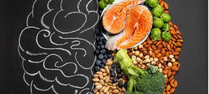 Conférence "Neuro-nutrition" Conférence "Neuro-nutrition"
