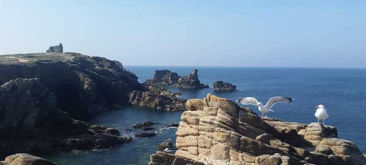 Sur la piste des Korrigans, balade contée Cote Sauvage