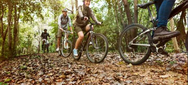 Rando VTT Rando VTT