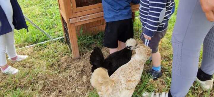 Visite guidée de la ferme