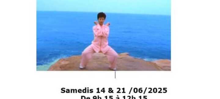 Stage de Qi Gong Shu Xin Ping Cue Gong (cœur)