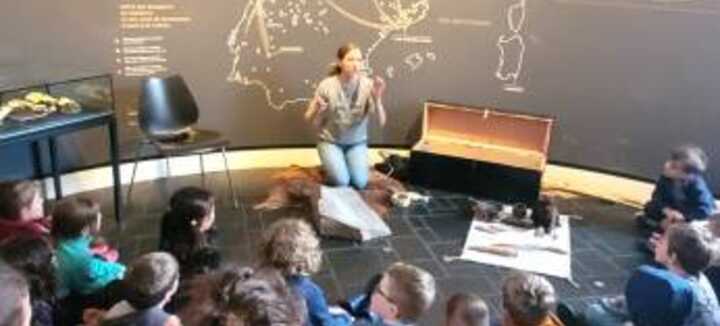 Visite guidée à petits pas