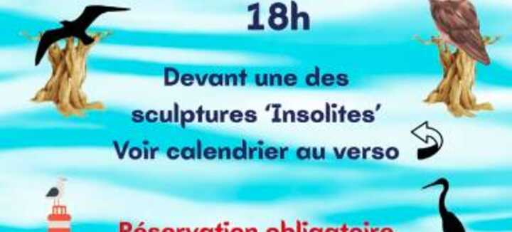 Les Contes Insol!tes par Histoires de Mots Les Contes Insol!tes par Histoires de Mots