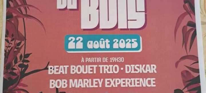 Concert Son du bois Concert Son du bois